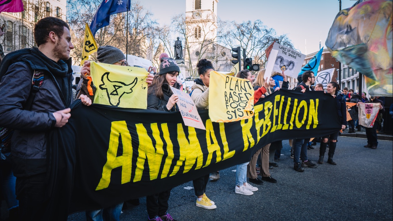 Photo of activists in a row on the streets carrying various signs and a long black Animal Rebellion banner with yellow text.