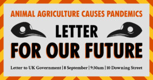letter to government