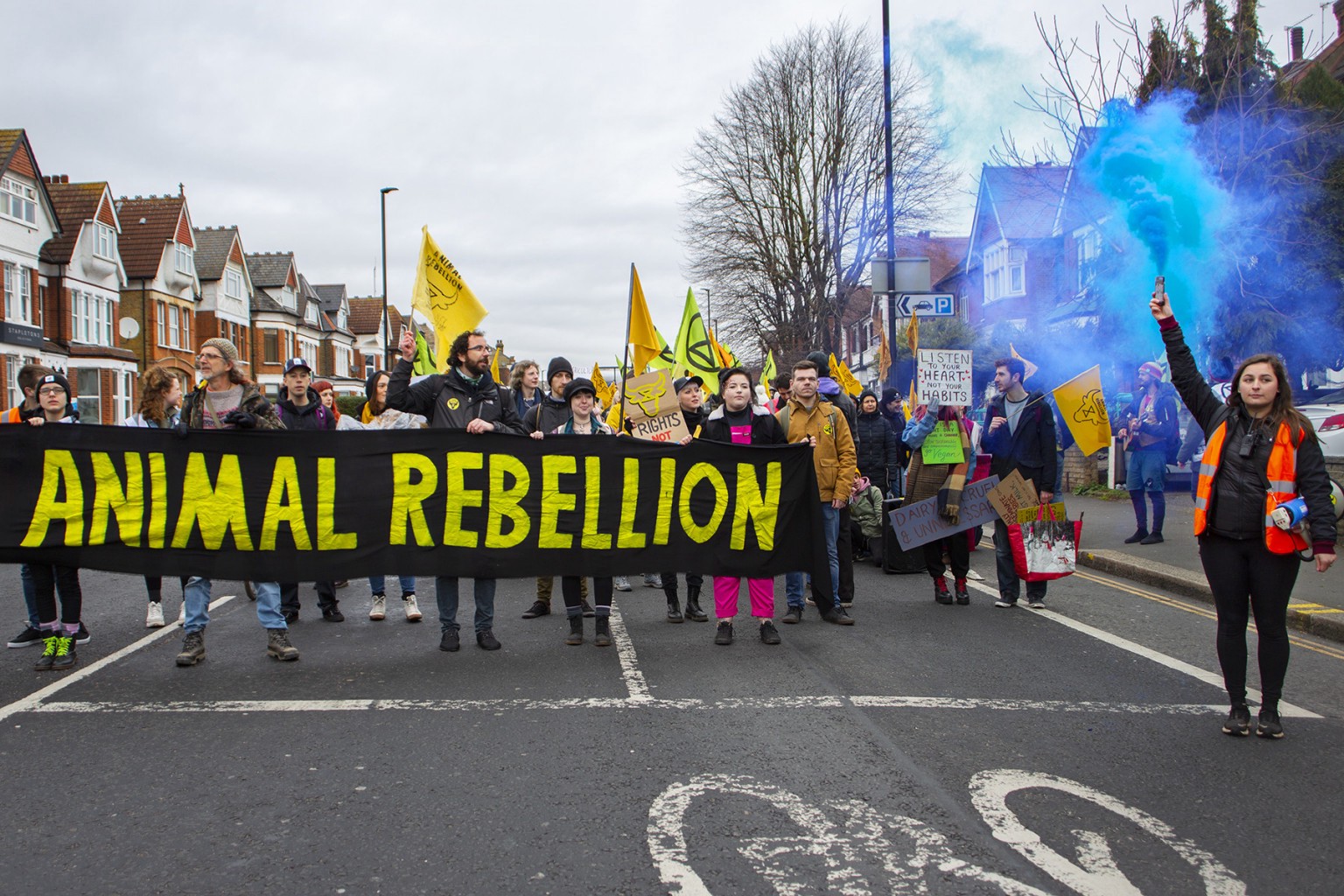 Who Is Animal Rebellion? The Worldwide Movement. - Animal Rebellion