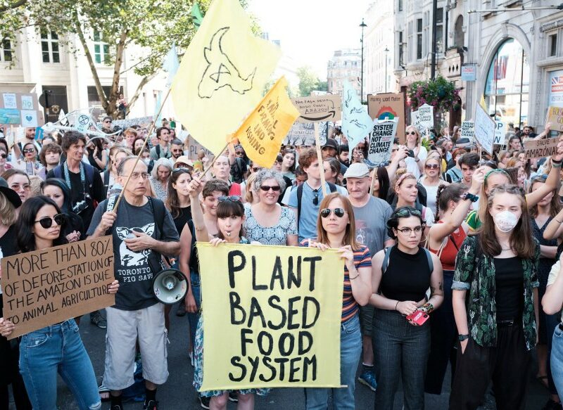 What is Animal Rebellion’s Relationship with Extinction Rebellion?