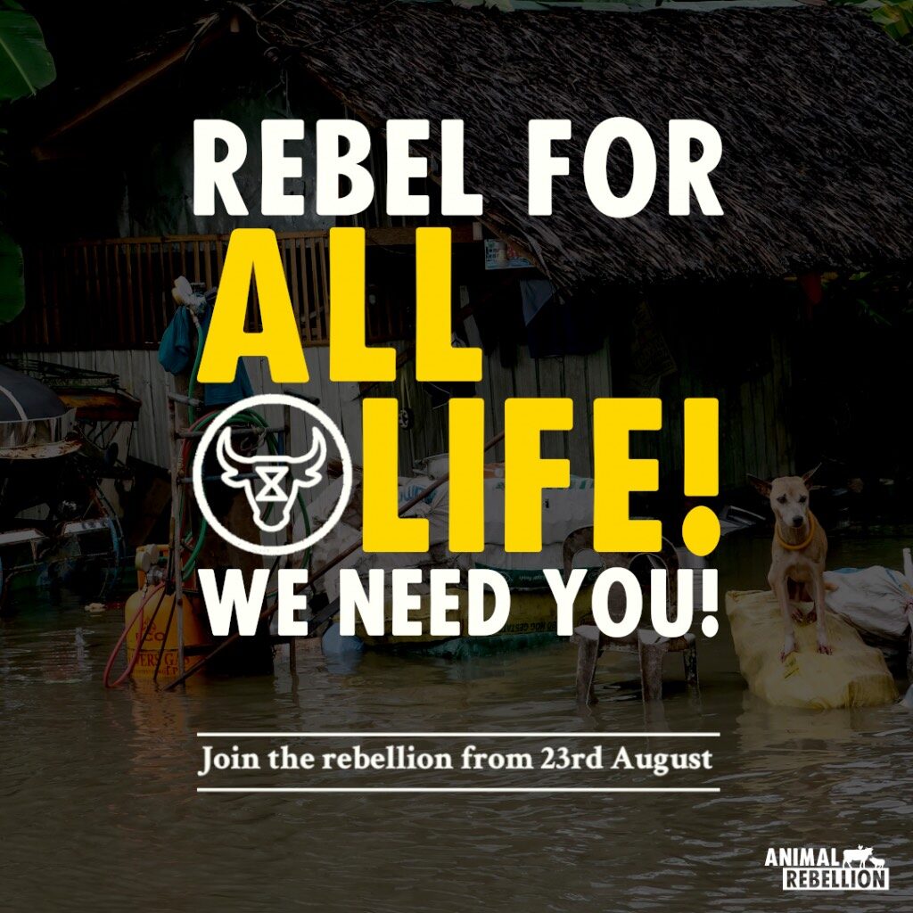 A poster saying 'Rebel for all life! We need you!'