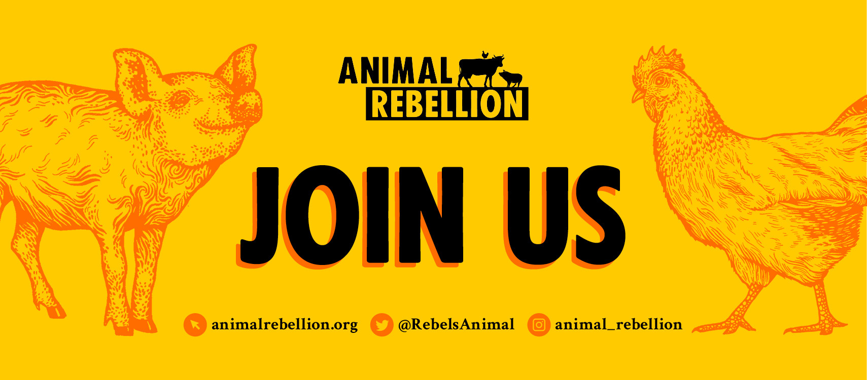 Join us: Volunteer now for Animal Rebellion
