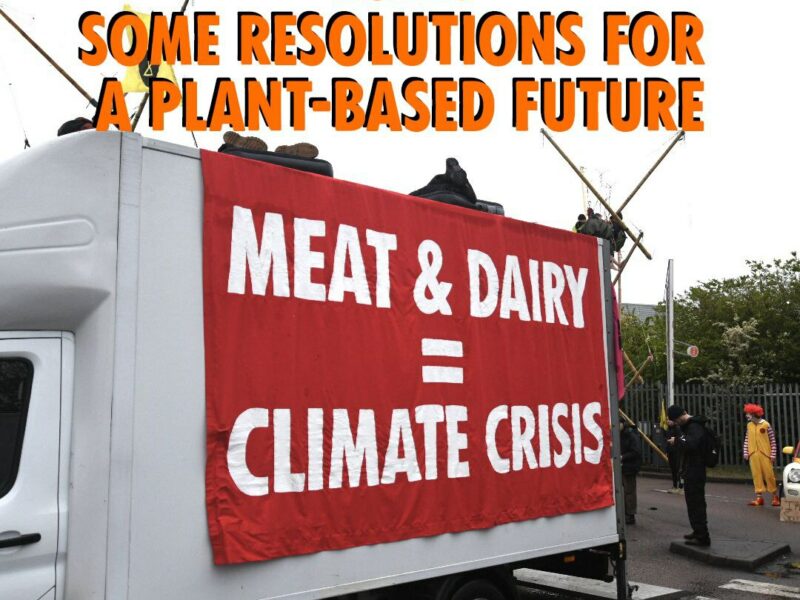 2022: Some New Year’s Resolutions For a Plant-Based Future