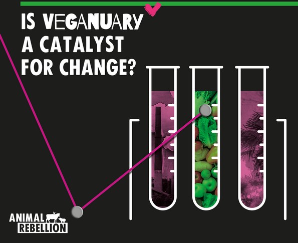 Is Veganuary a catalyst for change?