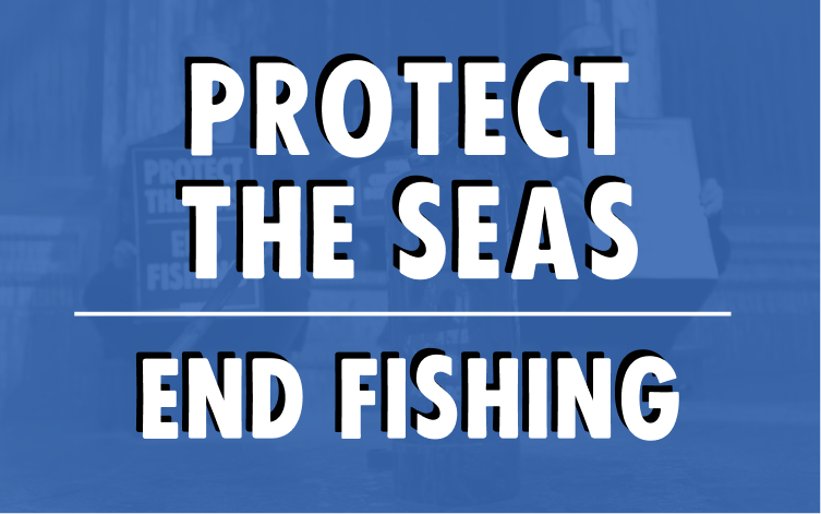 Image saying 'Protect the seas, end fishing'