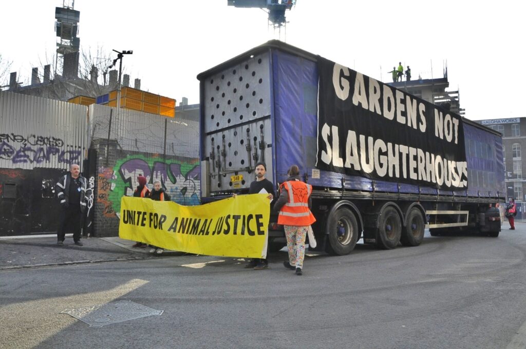 Photo of activists blocking the site to the slaughterhouse and draping a giant 'Gardens not Slaughterhouses' banner over a chicken delivery truck