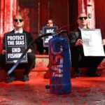 Photo of Animal Rebellion activists sitting on a step with placards at the entrance to the Marine Stewardship Council. The building is normally white but has been stained bright red. A blue fire extinguisher with MSC written on it also has been splattered with red paint.