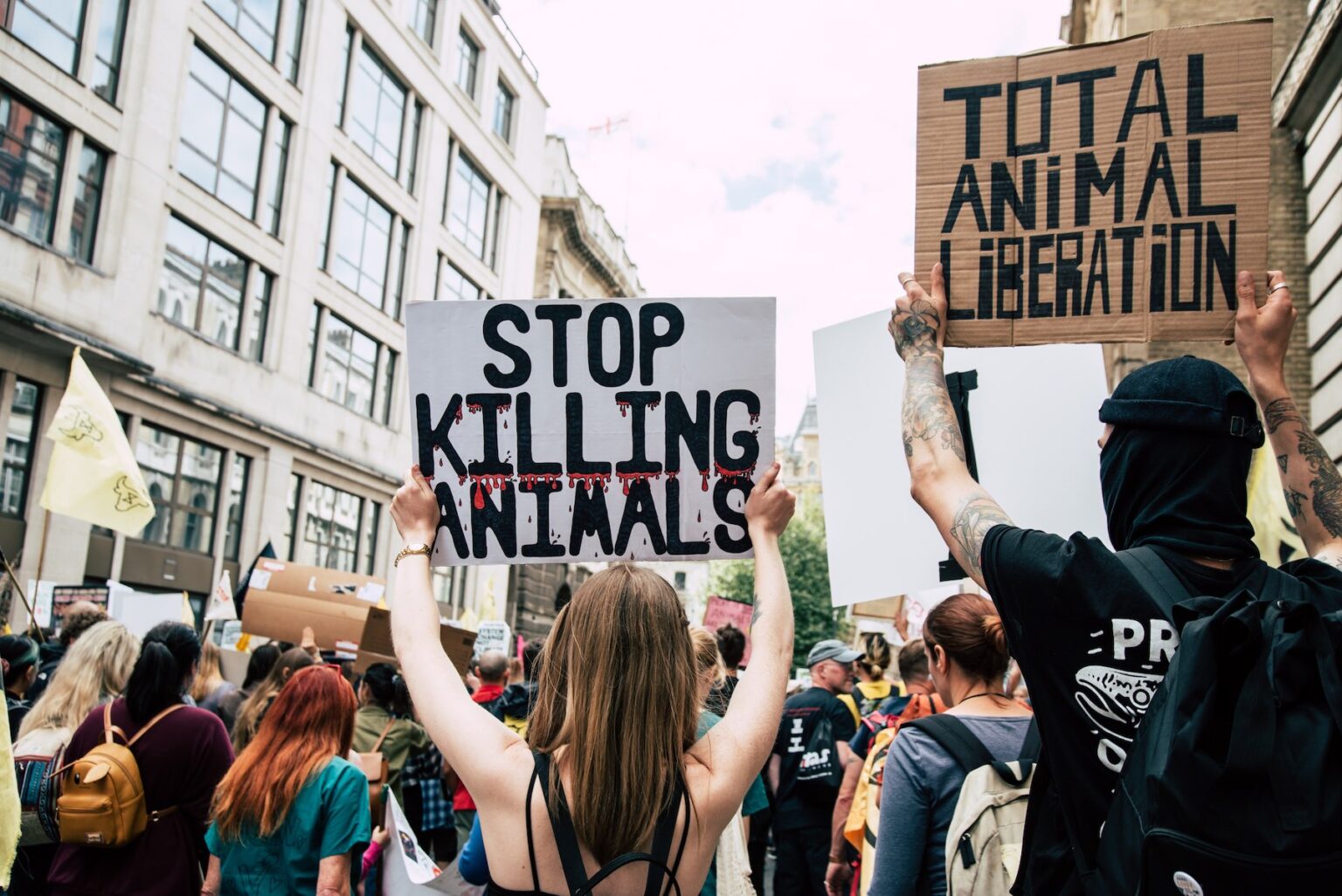 About Us Animal Rebellion