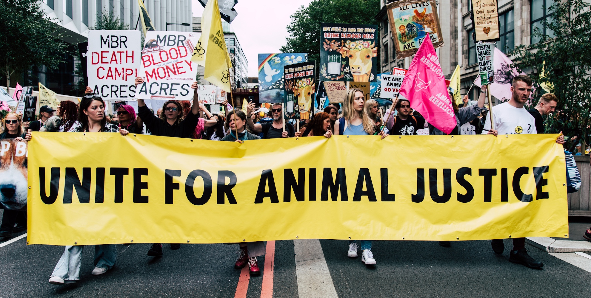 Photo of volunteers marching on the street with a crowd behind them. The front row of volunteers hold a yellow banner with black text in all caps reading 'Unite for animal justice'.