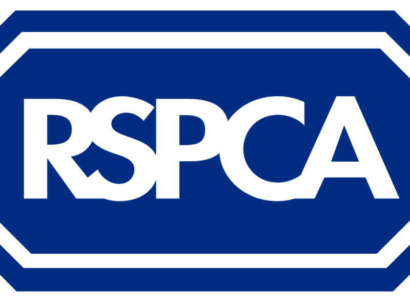 The RSPCA: What’s not to like?