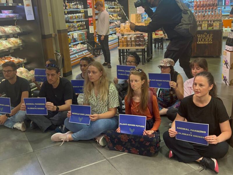 Animal Rebellion blocks access to fresh milk at high-end supermarkets in 4 cities as they begin sustained direct action against Government inaction on a plant-based food transition.